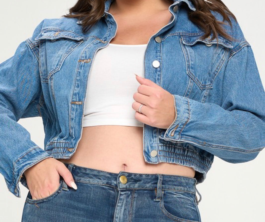 Plus Size Denim Blue